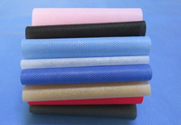 禄丰涤纶（PET）无纺布是什么